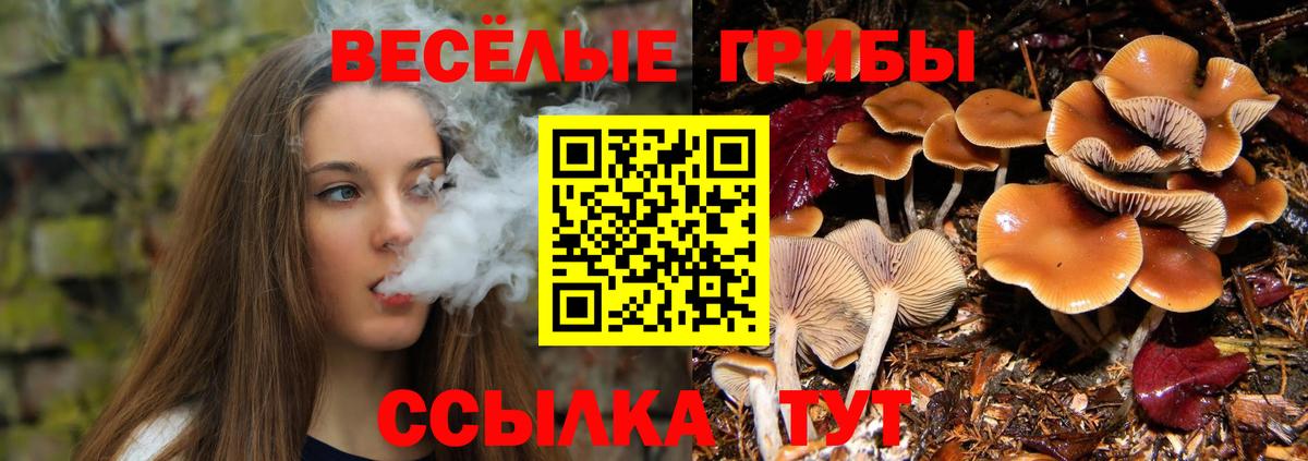 Псилоцибиновые грибы мухоморы  Вход с VPN  Ступино 